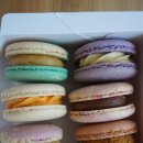 달코코 | 청라 마카롱 '달코코' 단짠치즈, 인절미, 바닐라라떼 뚱카롱