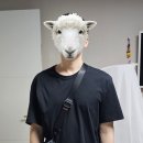 F4802 이미지