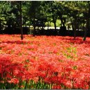 노적봉농장 이미지