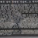일동태양광발전소 네이버블로그