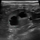 런던동물병원 이미지