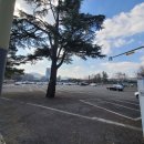 대성동공영주차장 이미지