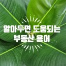 목동현대공인중개사사무소 이미지