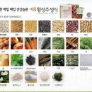 이롬생식 이미지