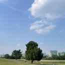 몽촌토성역 이미지