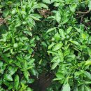 이미순농장 이미지