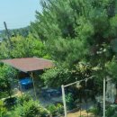 담소쉼터민박 이미지