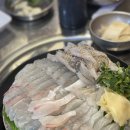오로라회센타 | 수원 숙성회 맛집 오로라 회센타 내돈내산