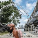 피서플라이 이미지