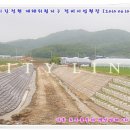 정현정비 이미지