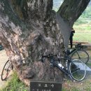 왜관일등축산