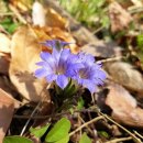 산중문답 이미지