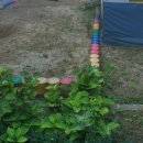 북교병설유치원 이미지