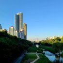 길마중