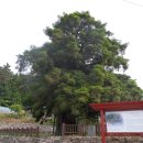 상만목장 이미지