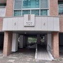 상지초교 이미지