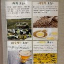 용지압 힐링센터 안마원 | 창원의 창구 안마원 수기관리ㅣ봉곡동 편한몸안마원 방문 후기