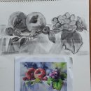 서양화 기초 이미지