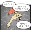 성주카센타 | 나의 4개월 차 운전 일기