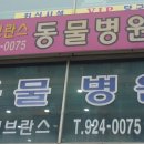 경기중앙동물병원 이미지