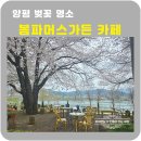 갤러리 774 | 양평 벚꽃명소 봄파머스가든