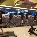 더 핏 휘트니스 이미지