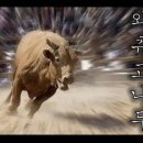 흥해국밥 이미지