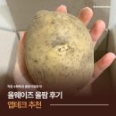 28 | 앱테크 추천 올웨이즈 올팜 후기 농작물 28번째 수확하는 중!