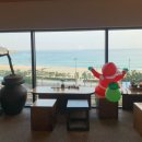 달보드레의달콤한수다 | 송정 오션뷰 카페 추천 수월경화 부산 해변열차 보이는 힐링 맛집