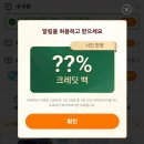 크레딧 | 테무 50만원 쿠폰묶음 크레딧백 셀카봉 테무옷 후기