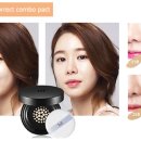 팩트아카데미