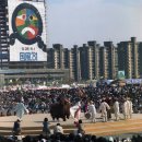 국풍이벤트기획 네이버블로그