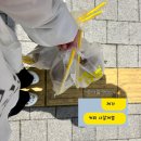 모텔돼지꿈 | 내원정사 템플스테이 - 1박2일 후기