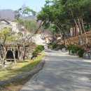 숲속건강나라 이미지