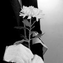 관악고등학교 이미지