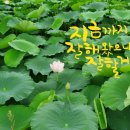 배터지게 먹소
