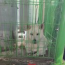 진량점 기아오토큐 이미지