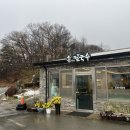 손가네칼국수 | 홍성 손가네 바지락 칼국수 로컬 현지인 맛집 내돈내산 후기