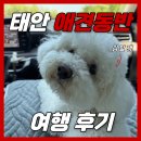 밧개회수산 | 태안 애견동반 여행 후기 | 펫니스태안 미션투어 1박2일
