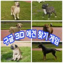 스마트폰은 내 친구 이미지