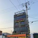 [홍성] 남당리 새조개•쭈꾸미 샤브샤브 맛집 “천도수산 영희네2” 솔직 후기