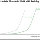 내리 복싱 다이어트 이미지
