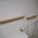 파이브스테이 이미지