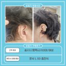 송보청기