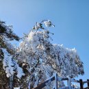 대구광역시 달성군 유가면.경북 청도군 각북면 (천왕봉.월광봉.대견봉) 산행 이미지