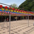 고요함 | 포항 가볼만한 곳, 천년의 고요함이 머무는 곳 오어사, 둘레길 산책코스
