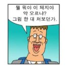 셀레브르 이미지