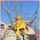 (가족)동화와 함께하는 감성미술 | 강릉 가족여행 코스 디자인씽킹뮤지엄에서 아이와 함께하는 창의적인 여행