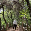 평택등산 안성 고성산 등산 : 창진산장휴게소 출발 등린이 추천 등산코스
