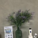 이혈테라피 이미지